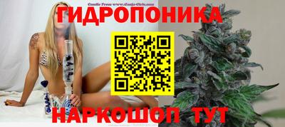 спайс Кандалакша