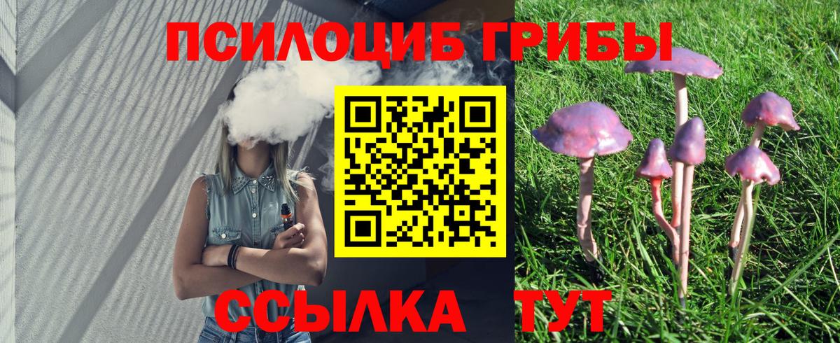 Галлюциногенные грибы Magic Shrooms  Галлюциногенные грибы GOLDEN TEACHER  Вход с VPN  Кызыл 